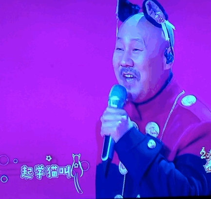 太可爱了!腾格尔带猫咪头箍学猫叫可爱呆萌