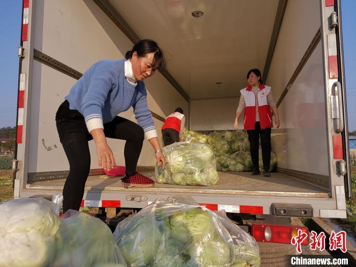 工作人员忙着装打包好的蔬菜. 刘凤勇 摄