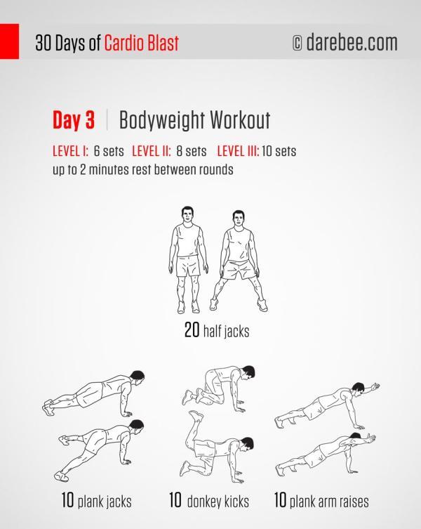 第三天：自重训练