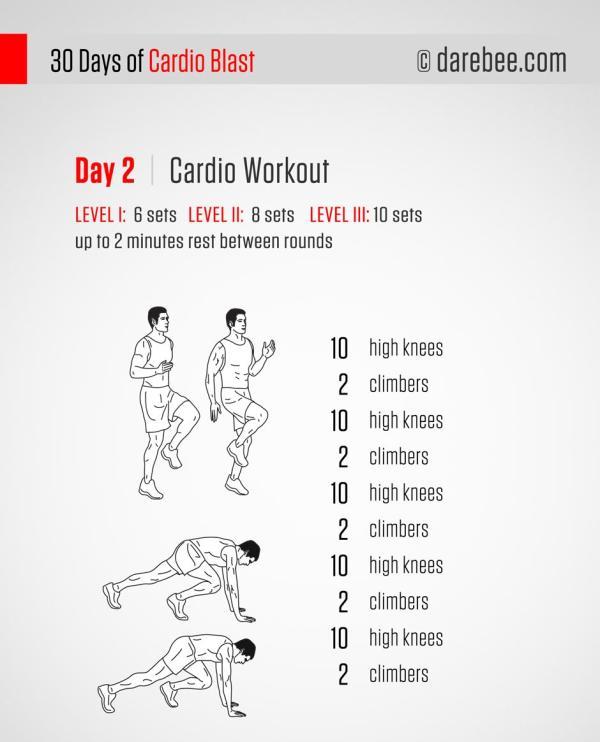 第二天：有氧训练