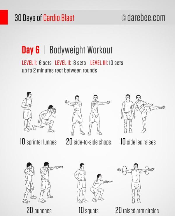 第六天：自重训练