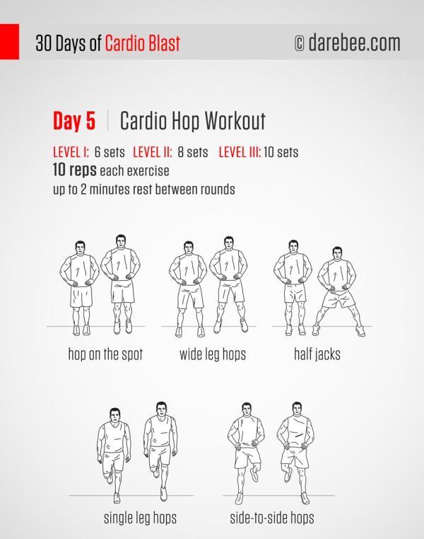 第五天：有氧纵跳训练