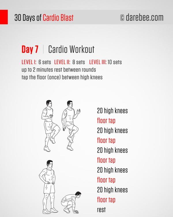 第七天：有氧训练