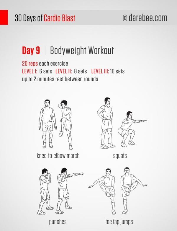 第九天：自重训练