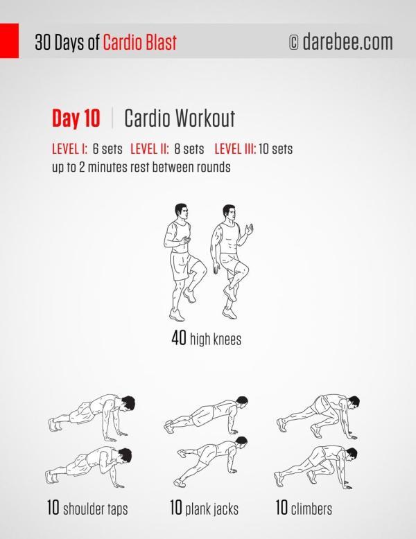 第十天：有氧训练