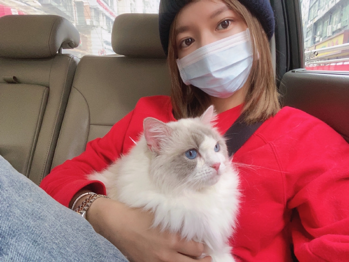 程潇穿红色上衣与猫咪玩自拍 青春靓丽可爱满分