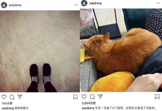 papi酱在社交网络上分享生活