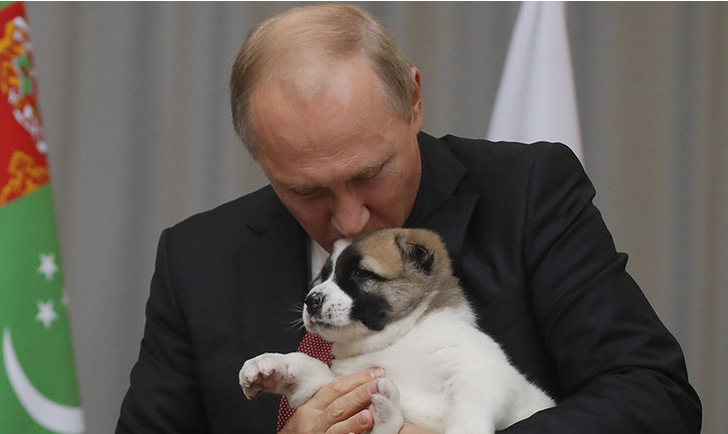 普京收到土库曼斯坦总统送的一只牧羊犬。资料图