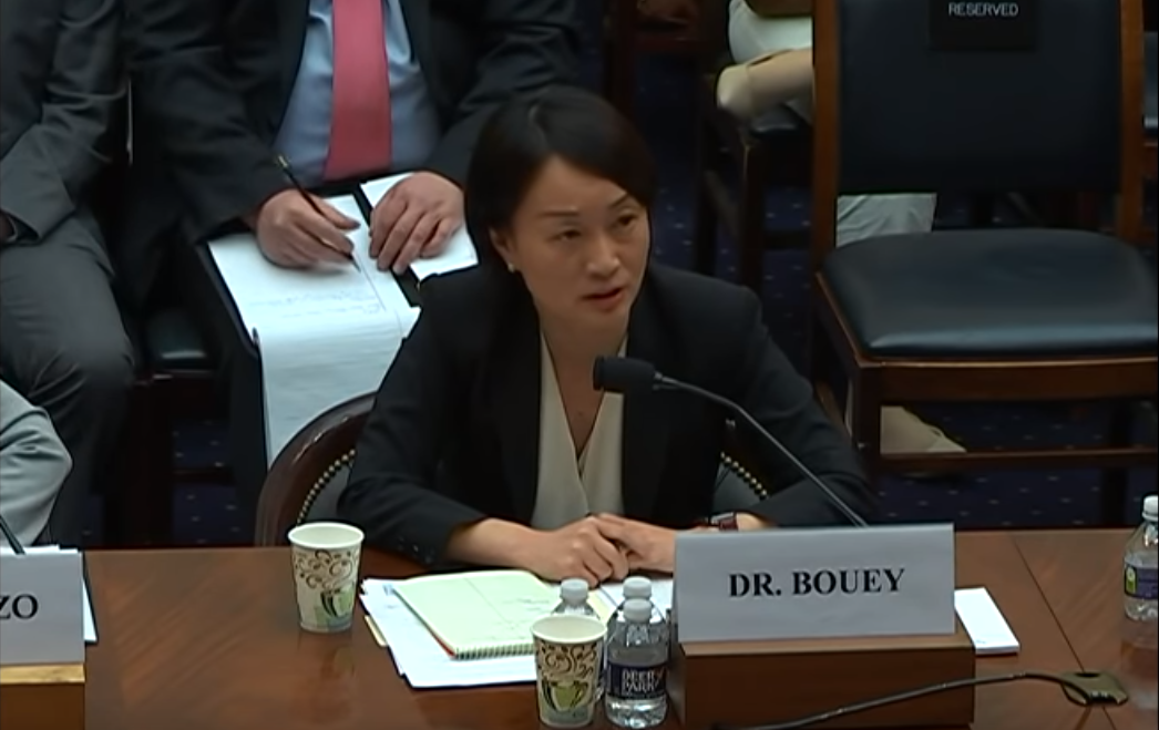 黄志环在美国众议院的一场听证会上发言。