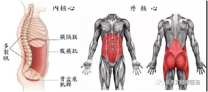 疫情期间在家预防腰酸背痛骨科专家支招7个妙招5组运动