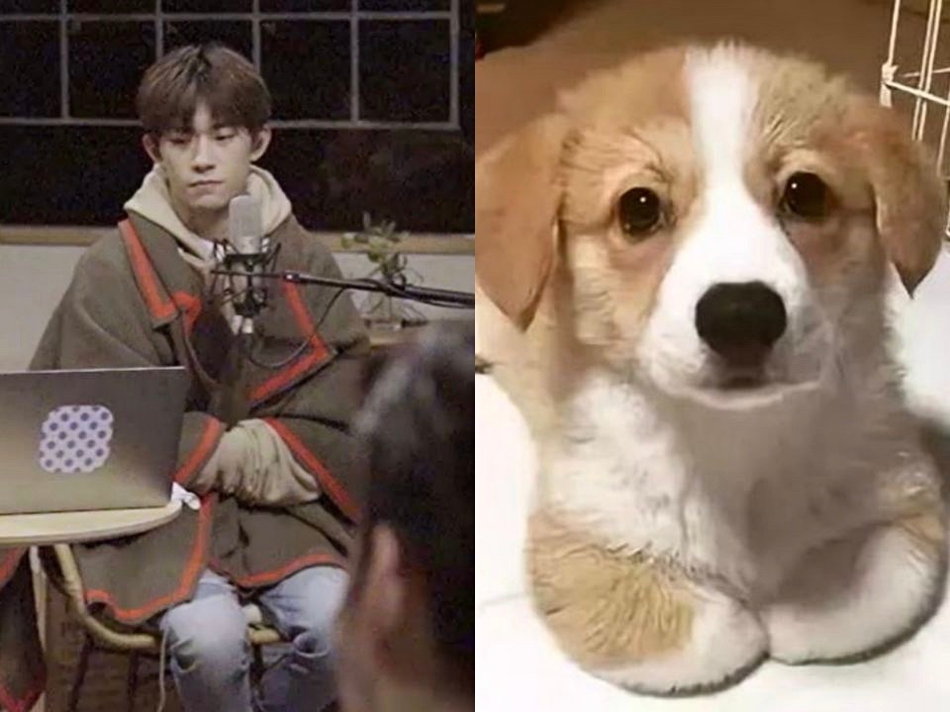 易烊千玺东北大爷式揣手画面感十足显反差萌