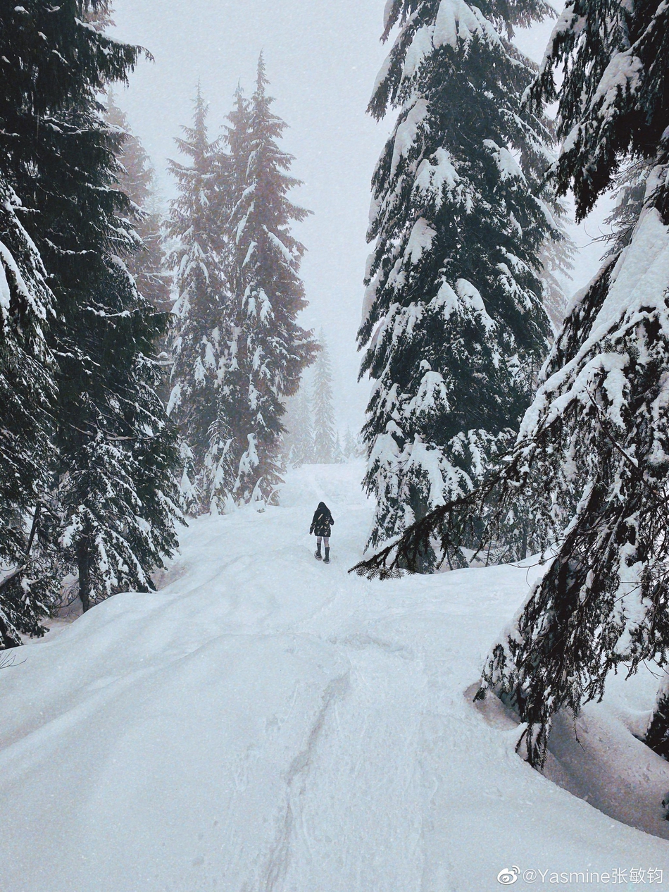 钟丽缇女儿晒雪地行走照片穿滑雪服一头长发温柔美丽