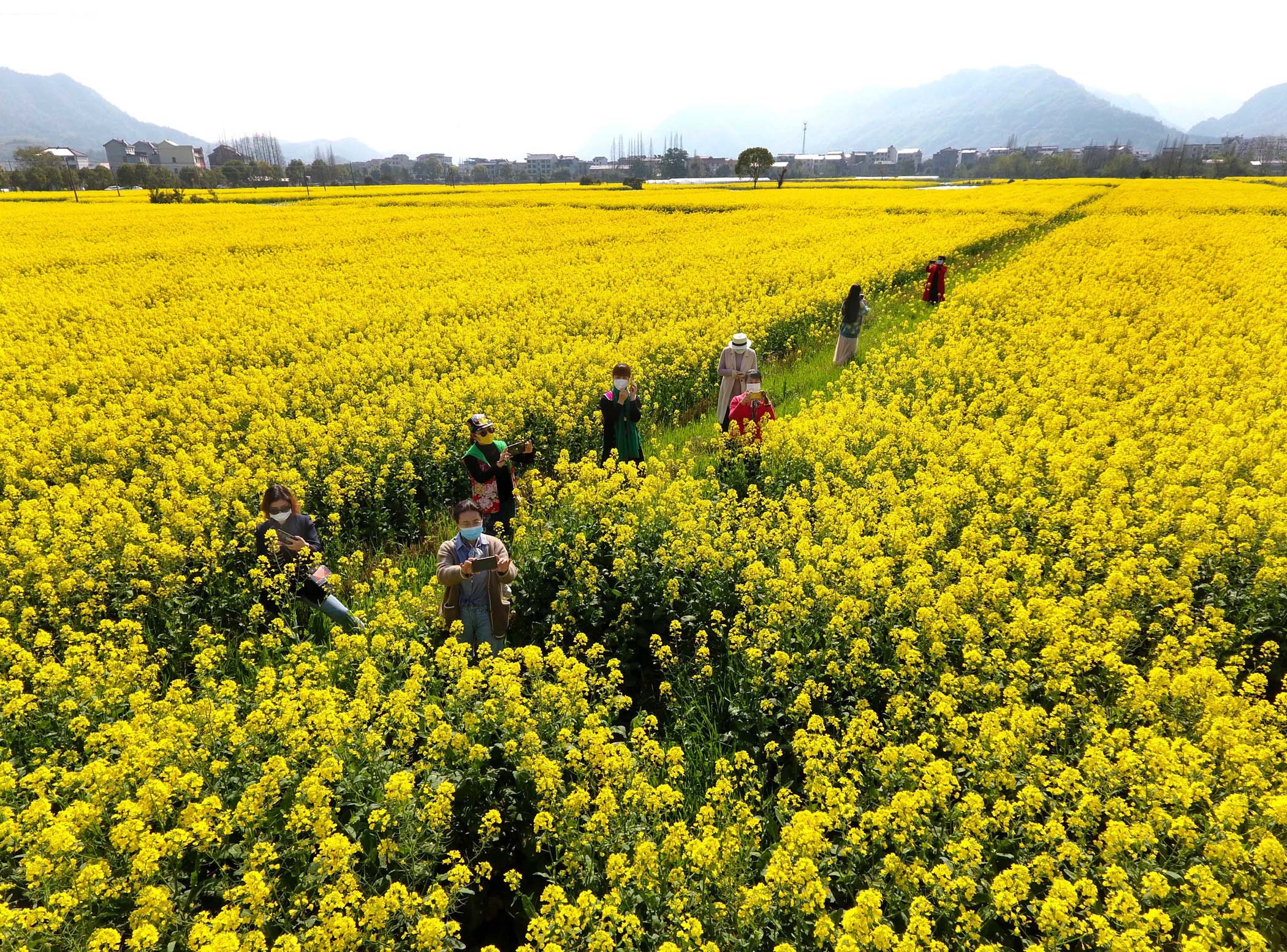 浙江的市有哪些 20200311041858522.jpg