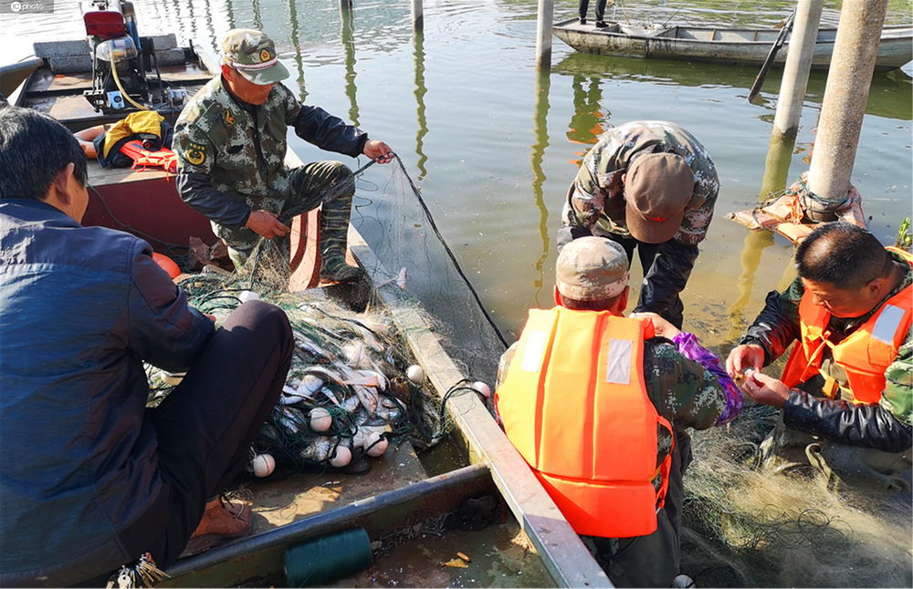 長江禁止捕撈今春第一網水庫刀魚開捕上市