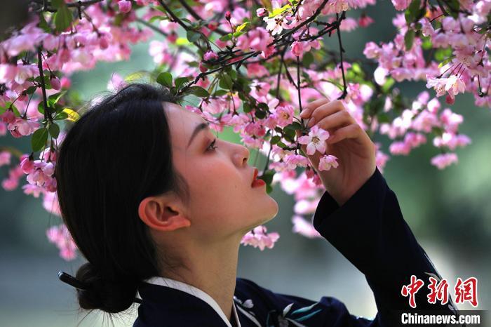 古装姑娘走进南京莫愁湖海棠花会享"春分"