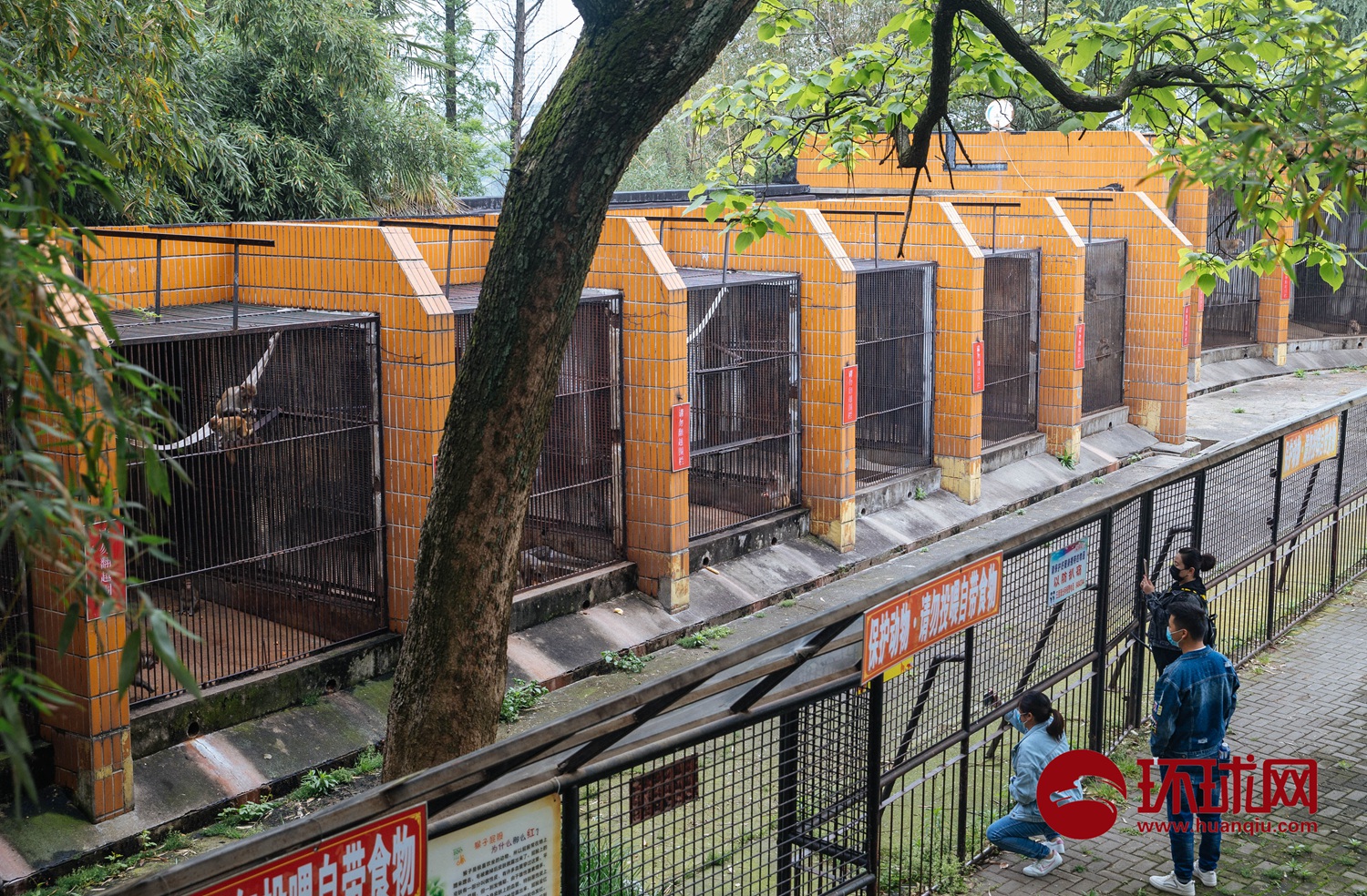 武汉动物园闭园改造图片