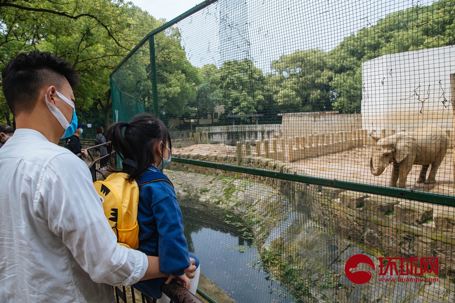 武汉动物园今起有序恢复开放,闭园期间添了新丁