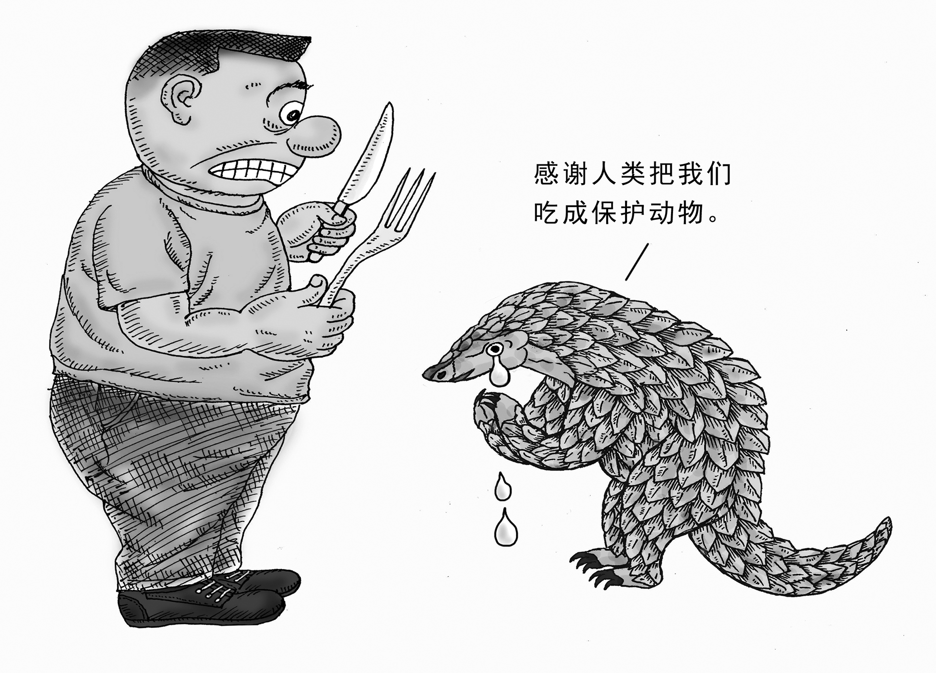 举报我也说两句责编:讽刺与幽默