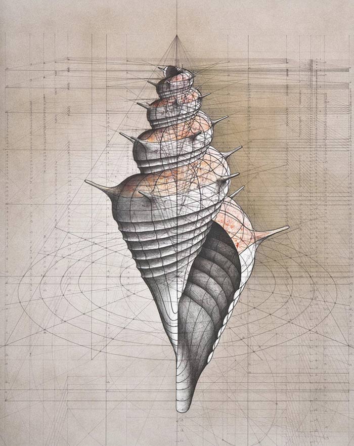 喜欢艺术和数学的人尺规作画让人肝颤